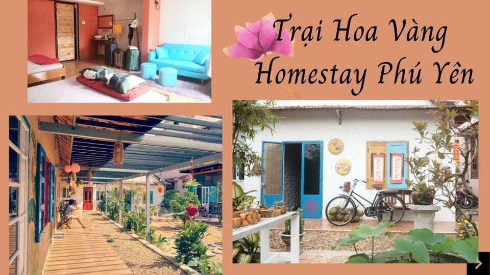 Trại Hoa Vàng Homestay