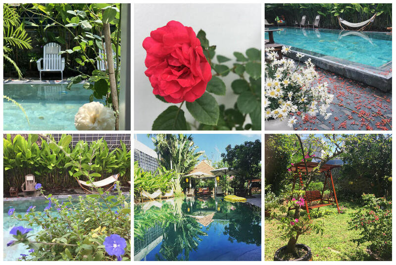 Vườn hoa rực rỡ tại Bamboo Homestay Huế