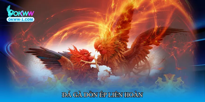 Đá gà dồn ép liên hoàn