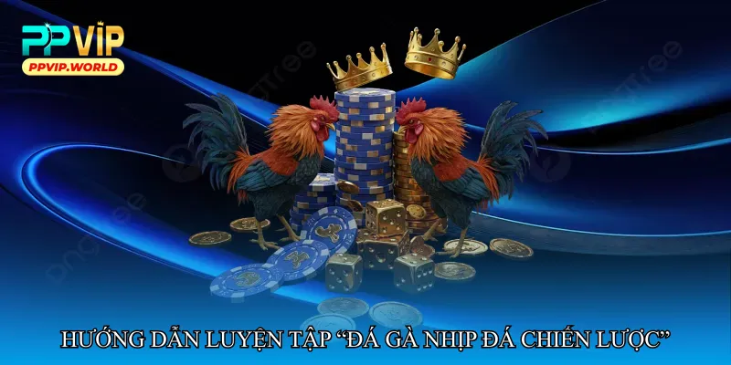 Đá gà nhịp đá chiến lược