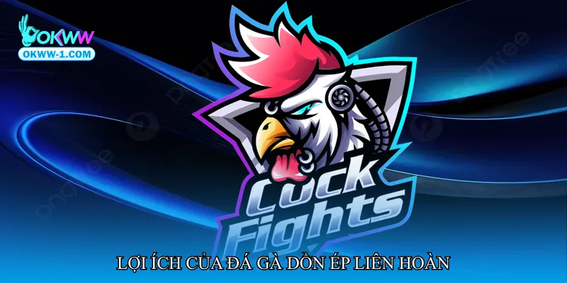 Đá gà dồn ép liên hoàn