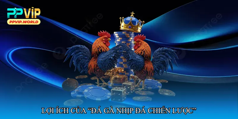 Đá gà nhịp đá chiến lược