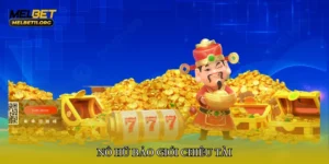 Đá gà dồn ép liên hoàn – Chiến thuật áp đảo đối thủ nhanh chóng